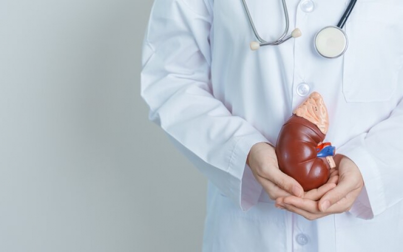  О важном: когда нужно обратиться к гепатологу?