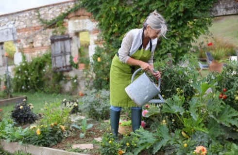 5 советов не навредить своему здоровью на даче