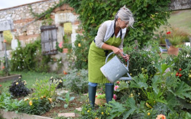 Спина и огород: 5 советов не навредить своему здоровью на даче
